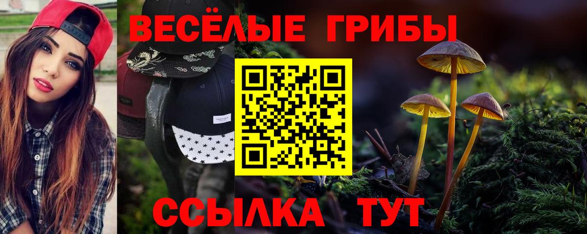 Богородицк  Псилоцибиновые грибы мицелий  Вход с VPN 
